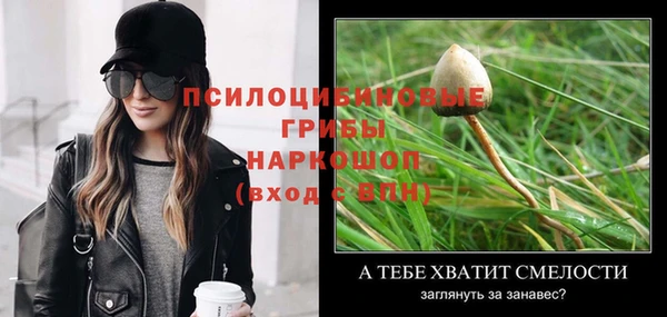 мяу мяу мука Абинск
